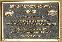 Snowy Higgs