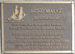 Rene Mauge