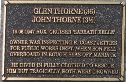 Thorne plaque